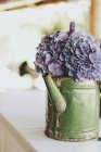 Фиолетовые цветы в банке для полива — стоковое фото