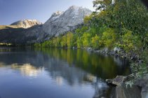Amarelando aspens na borda de junho montanhas do lago — Fotografia de Stock