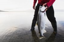 Pesca de salmón de plata - foto de stock