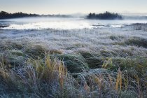 Mist rising over large pond — Stock Photo