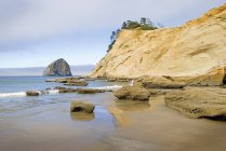 Spiaggia sulla costa dell'Oregon — Foto stock