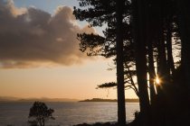 Puesta de sol sobre árboles en la orilla - foto de stock