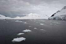 Icebergues na água ao longo da costa — Fotografia de Stock