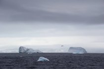 Айсберги в океанской воде — стоковое фото