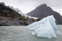 Vue sur les icebergs et le glacier — Photo de stock