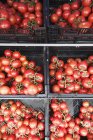 Pomodori maturi in casse — Foto stock
