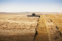 Combine In  Field during daytime — Stock Photo