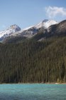 Lago Louise foresta e aspre montagne rocciose — Foto stock