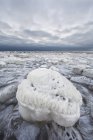 Ice covered rock — Stock Photo