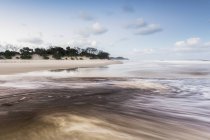 Талловый ручей, уходящий в океан — стоковое фото