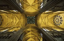 Looking up at cathedral ceiling — Stock Photo