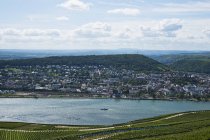 Fiume Rhein Guardando verso Bingen — Foto stock