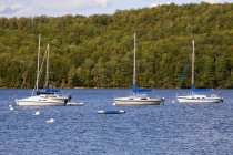 Три лодки на озере — стоковое фото