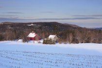 Granero rojo cobertizo y campo cubierto de nieve en invierno - foto de stock