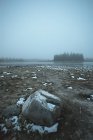 Neve sulla riva del lago Astotin — Foto stock