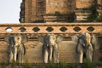 Three elephants against building — Stock Photo