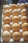 Ovos castanhos na caixa — Fotografia de Stock