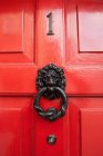 Lion Door Knocker — Stock Photo