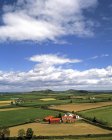 Сельское хозяйство над зеленой травой — стоковое фото