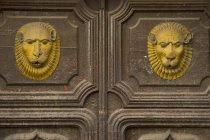 Lion Faces Decorating — Stock Photo