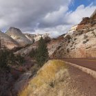 Camino que viaja a través del Parque Nacional de Zion - foto de stock