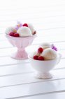2 Bowls Of Ice Cream — Stock Photo