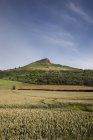 Champs agricoles avec colline en arrière-plan — Photo de stock