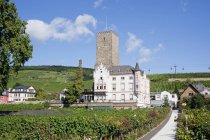 Бузенбургский замок с башней — стоковое фото