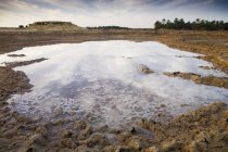 Соленая вода на сухом пустынном поле — стоковое фото