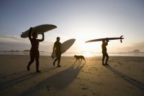 Silhouette von drei Surfern und einem Hund; chesterman beach, tofino, vancouver island, british columbia, canada — Stockfoto