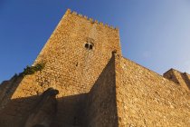 Das als castillo de la yedra bekannte Schloss — Stockfoto