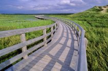 Деревянный мост защищает водно-болотные угодья — стоковое фото