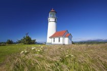 Fleurs sauvages et phare de Cape Blanco — Photo de stock