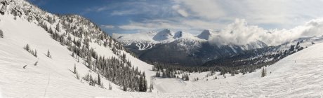 Лыжные трассы в снегу — стоковое фото