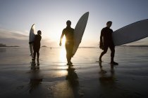 Silhouette di tre surfisti che trasportano tavole da surf — Foto stock