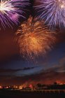 Fireworks display in night sky — Stock Photo