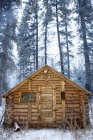 Cabana de caça na floresta — Fotografia de Stock