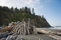 Driftwood Piled As Shelter — Stock Photo