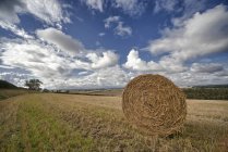 Hay Bale Sitting In A Field — Stock Photo