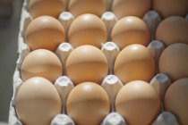 Brown Eggs In A Carton — Stock Photo