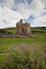 Castello di Edlingham sull'erba — Foto stock