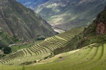 Archaeological Park Of Pisac — Stock Photo