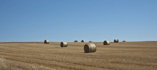 Hay Bales In A Field — Stock Photo
