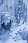 Пантера Falls лід подробиці — стокове фото
