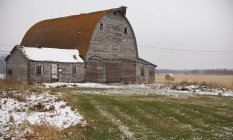 Dairy Barn And Milkhouse On Retired Farmland — Stock Photo