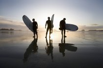 Silhouette von drei Surfern mit Surfbrettern — Stockfoto
