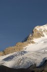 Льодовики на горі Атабаска — стокове фото
