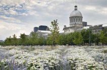 Bonsecours Market in Montreal — Stock Photo