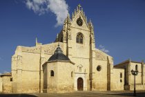 Catedral de San Antolin — стокове фото