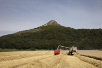 Harvester Combine Works In Field — Stock Photo
